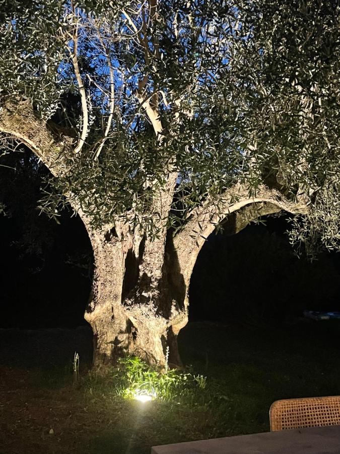 Villa La Carpenee Roquefort Les Pins Bagian luar foto