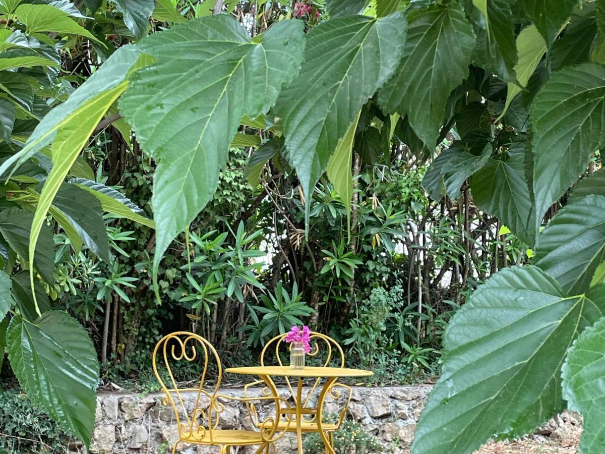 Villa La Carpenee Roquefort Les Pins Bagian luar foto